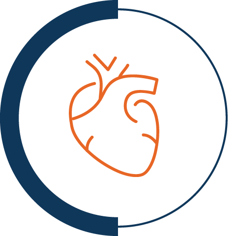 line drawing of a heart